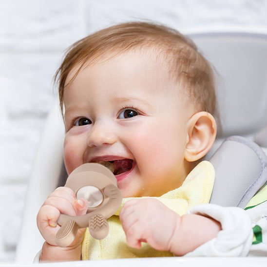Grignoteuse bébé ludique favorisant l’autonomie et l’éveil gustatif dès 6 mois