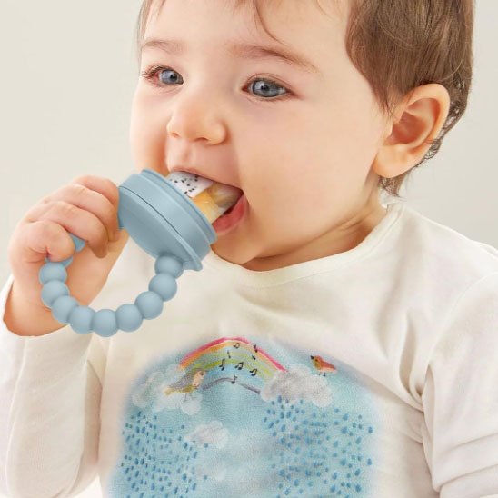 Grignoteuse bébé sécurisée pour la diversification alimentaire et les poussées dentaires