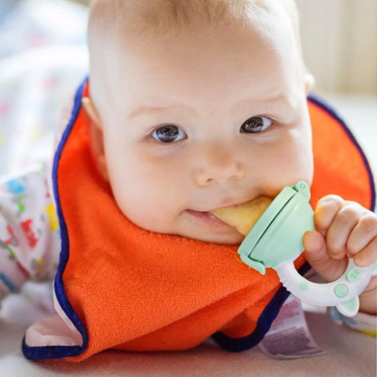Grignoteuse bébé sécurisée sans BPA pour accompagner les premières dents