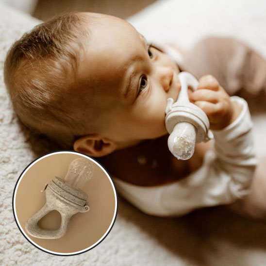 Grignoteuse bébé sécurisée sans BPA pour des repas sereins dès 6 mois